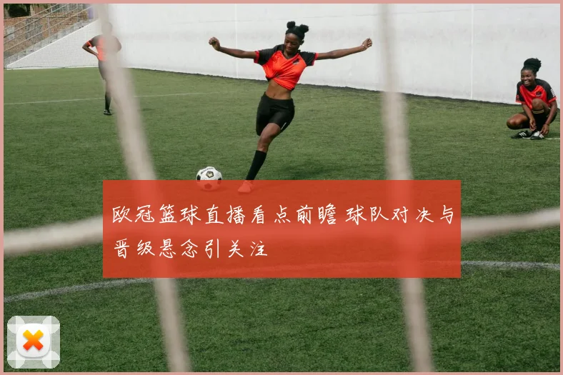 欧冠篮球直播看点前瞻 球队对决与晋级悬念引关注