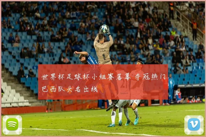世界杯足球杯小组赛落幕 夺冠热门巴西队头名出线