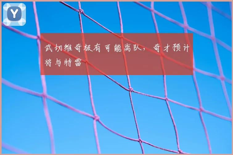 武切维奇极有可能离队，奇才预计将与特雷