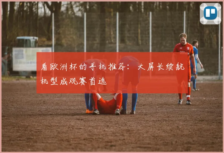 看欧洲杯的手机推荐：大屏长续航机型成观赛首选