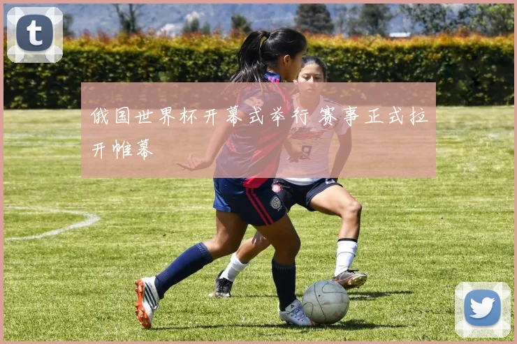 俄国世界杯开幕式举行 赛事正式拉开帷幕